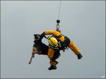 Departamento de Bomberos de Los Angeles rescatando un perro